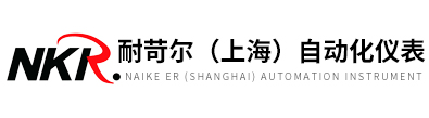 耐苛爾（上海）自動(dòng)化儀表有限公司